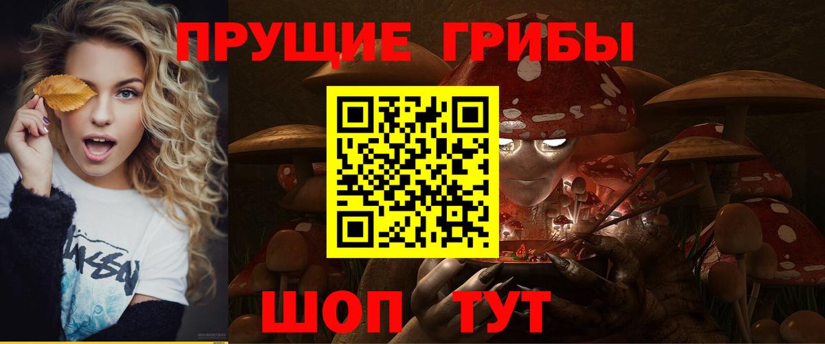 Галлюциногенные грибы MAGIC MUSHROOMS  купить  цена  Лесной  Вход с VPN 